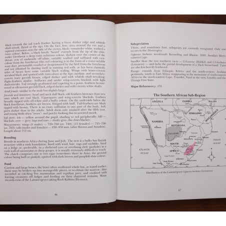The Rare Birds Of Southern Africa | Birds | Mickle & More Second-Hand Books