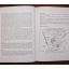 The Rare Birds Of Southern Africa | Birds | Mickle & More Second-Hand Books