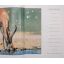 The Kalahari - Survival In A Thirstland Wilderness | Nature & Wildlife | Mickle & More Second-Hand Books