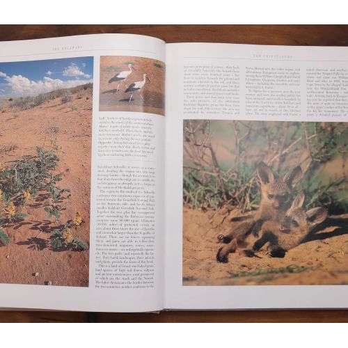 The Kalahari - Survival In A Thirstland Wilderness | Nature & Wildlife | Mickle & More Second-Hand Books