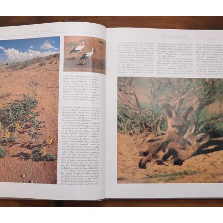 The Kalahari - Survival In A Thirstland Wilderness | Nature & Wildlife | Mickle & More Second-Hand Books