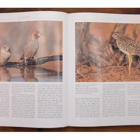 The Kalahari - Survival In A Thirstland Wilderness | Nature & Wildlife | Mickle & More Second-Hand Books