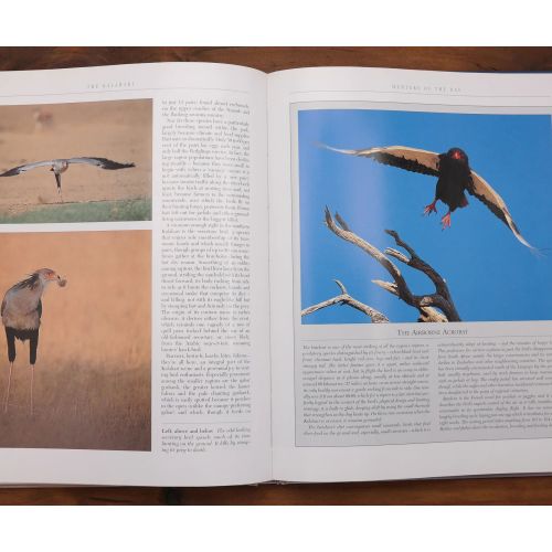 The Kalahari - Survival In A Thirstland Wilderness | Nature & Wildlife | Mickle & More Second-Hand Books