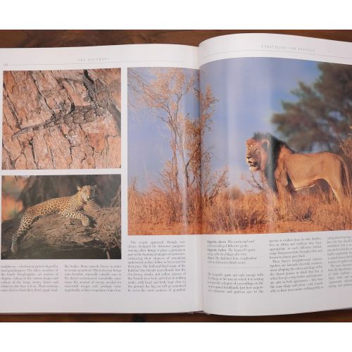 The Kalahari - Survival In A Thirstland Wilderness | Nature & Wildlife | Mickle & More Second-Hand Books