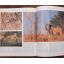 The Kalahari - Survival In A Thirstland Wilderness | Nature & Wildlife | Mickle & More Second-Hand Books