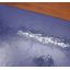 Arctic Tale | Nature & Wildlife | Mickle & More Second-Hand Books