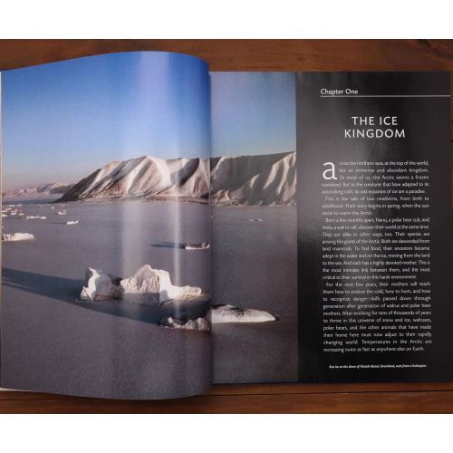 Arctic Tale | Nature & Wildlife | Mickle & More Second-Hand Books
