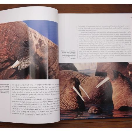 Arctic Tale | Nature & Wildlife | Mickle & More Second-Hand Books