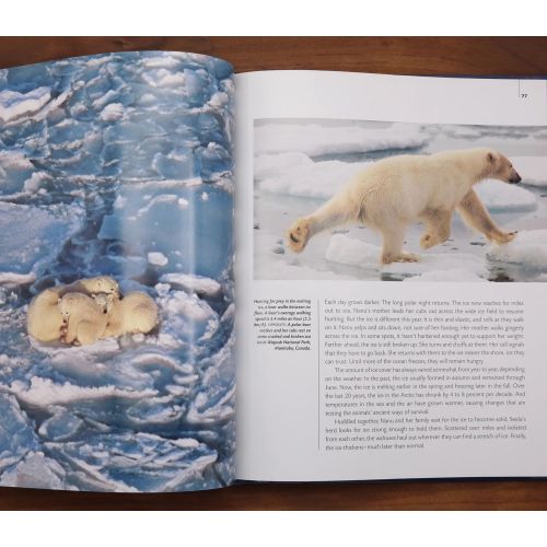 Arctic Tale | Nature & Wildlife | Mickle & More Second-Hand Books