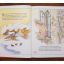 Grimm's Fairy Tales | Fairytales | Mickle & More Second-Hand Books