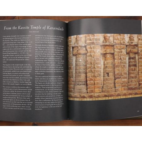 The Looting Of The Iraq Musuem, Baghdad - The Lost Legacy Of Ancient Mesopotamia | Archaeology & Palaeontology | Mickle & More S