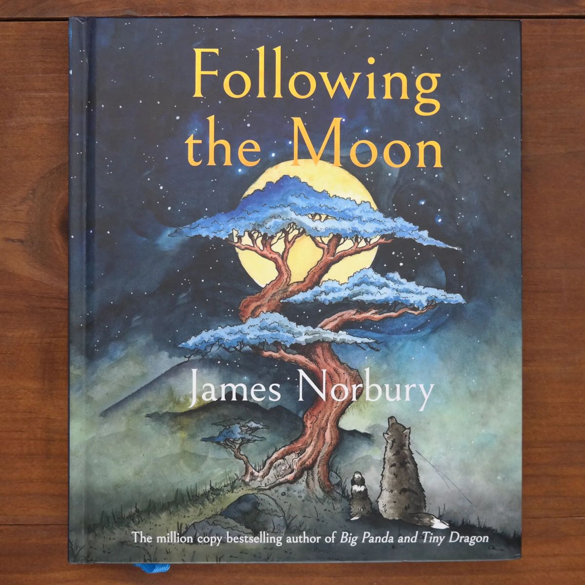Following The Moon | Fantasy | Mickle & More Second-Hand Books