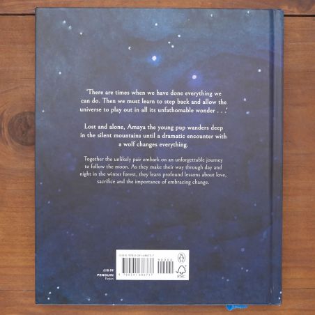 Following The Moon | Fantasy | Mickle & More Second-Hand Books
