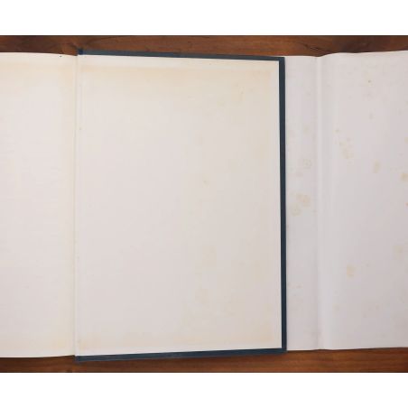 Family Health Encyclopaedia - The Complete Modern Medical Reference Book For The Home | Home | Mickle & More Second-Hand Books