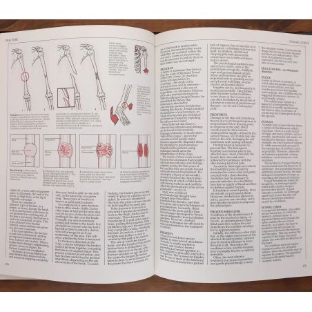 Family Health Encyclopaedia - The Complete Modern Medical Reference Book For The Home | Home | Mickle & More Second-Hand Books