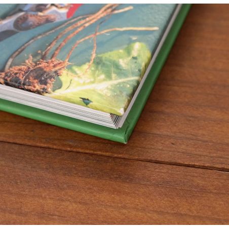 Herbs - Healty Living With Herbs From Your Own Garden | Home | Mickle & More Second-Hand Books