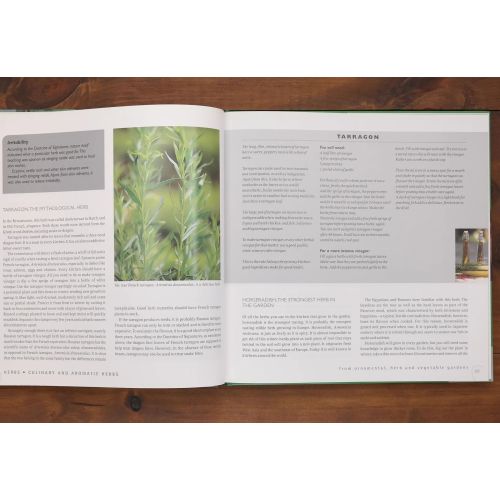 Herbs - Healty Living With Herbs From Your Own Garden | Home | Mickle & More Second-Hand Books