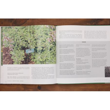 Herbs - Healty Living With Herbs From Your Own Garden | Home | Mickle & More Second-Hand Books