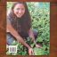 Love Green Food - Cooking And Eating With Consciousness | Home | Mickle & More Second-Hand Books