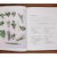 Love Green Food - Cooking And Eating With Consciousness | Home | Mickle & More Second-Hand Books