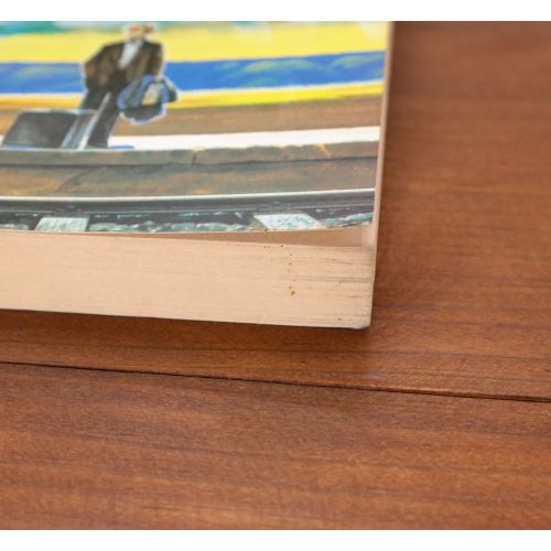 Kambro-kind | Fiksie | Mickle & More Second-Hand Books