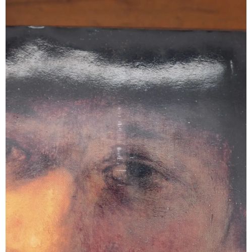 Rembrandt's Eyes | Fiksie | Mickle & More Second-Hand Books