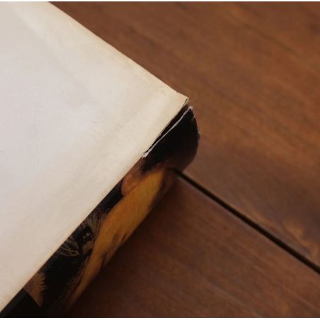 Rembrandt's Eyes | Fiksie | Mickle & More Second-Hand Books