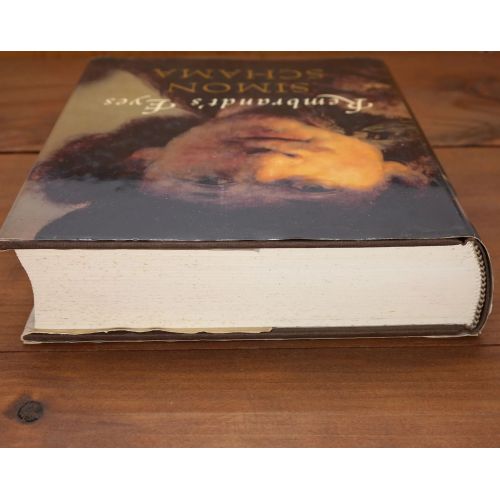 Rembrandt's Eyes | Fiksie | Mickle & More Second-Hand Books