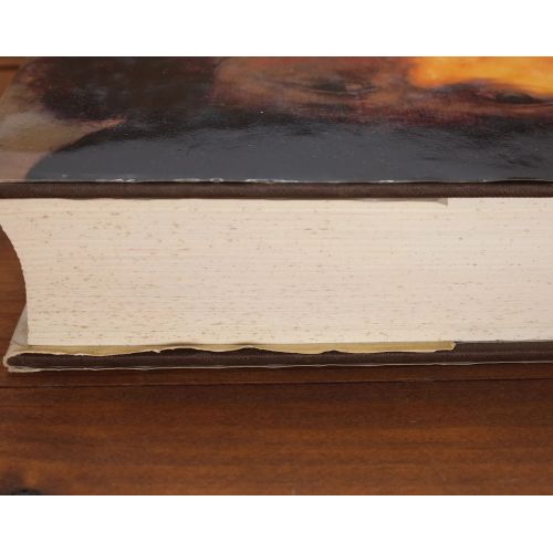 Rembrandt's Eyes | Fiksie | Mickle & More Second-Hand Books