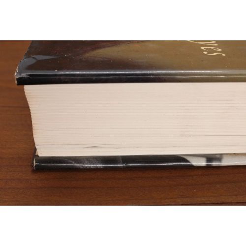 Rembrandt's Eyes | Fiksie | Mickle & More Second-Hand Books