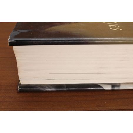 Rembrandt's Eyes | Fiksie | Mickle & More Second-Hand Books