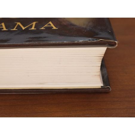 Rembrandt's Eyes | Fiksie | Mickle & More Second-Hand Books