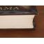 Rembrandt's Eyes | Fiksie | Mickle & More Second-Hand Books