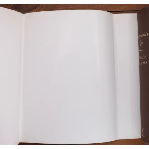 Rembrandt's Eyes | Fiksie | Mickle & More Second-Hand Books