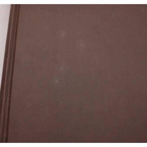 Rembrandt's Eyes | Fiksie | Mickle & More Second-Hand Books