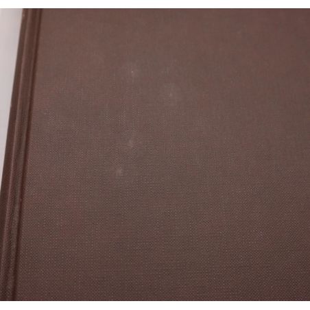 Rembrandt's Eyes | Fiksie | Mickle & More Second-Hand Books