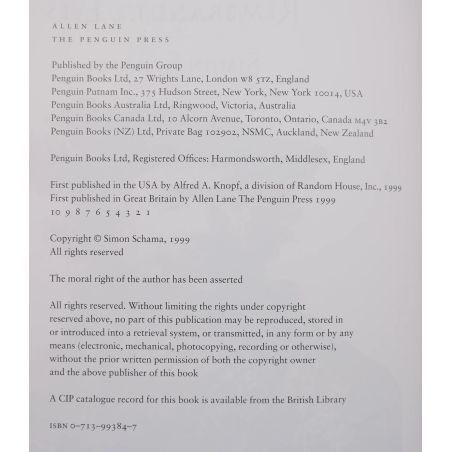 Rembrandt's Eyes | Fiksie | Mickle & More Second-Hand Books