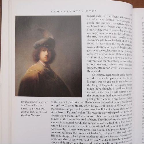 Rembrandt's Eyes | Fiksie | Mickle & More Second-Hand Books