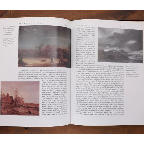 Rembrandt's Eyes | Fiksie | Mickle & More Second-Hand Books