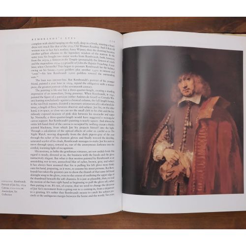 Rembrandt's Eyes | Fiksie | Mickle & More Second-Hand Books