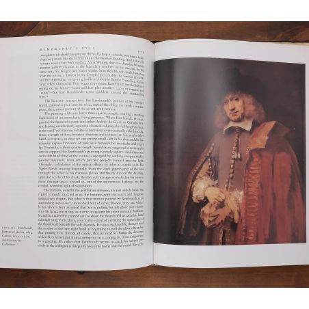Rembrandt's Eyes | Fiksie | Mickle & More Second-Hand Books