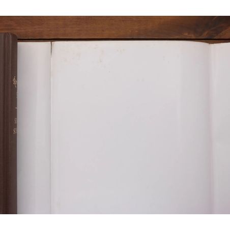 Rembrandt's Eyes | Fiksie | Mickle & More Second-Hand Books
