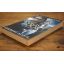 A Closed Book | Literary | Mickle & More Second-Hand Books