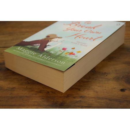 How To Break Your Own Heart | Contemporary | Mickle & More Second-Hand Books