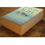 The Land of Painted Caves | Historical Fiction | Mickle & More Second-Hand Books