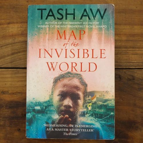 Map of the Invisible World | Historical Fiction | Mickle & More Second-Hand Books