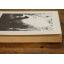Buried Treasure | Literary | Mickle & More Second-Hand Books