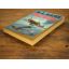 The Stories Of Flying Officer X | Historical Fiction | Mickle & More Second-Hand Books