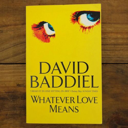 Whatever Love Means | Contemporary | Mickle & More Second-Hand Books