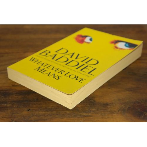 Whatever Love Means | Contemporary | Mickle & More Second-Hand Books
